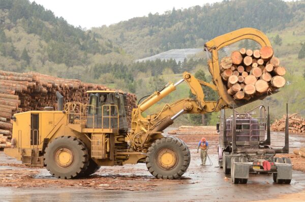 The Benefits Of Partnering With A Full-Service Forestry Equipment Dealer
