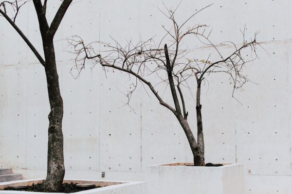The Increasing Importance Of Simplicity In A World Growing More Complex